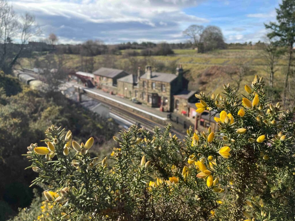 Goathland Station from high