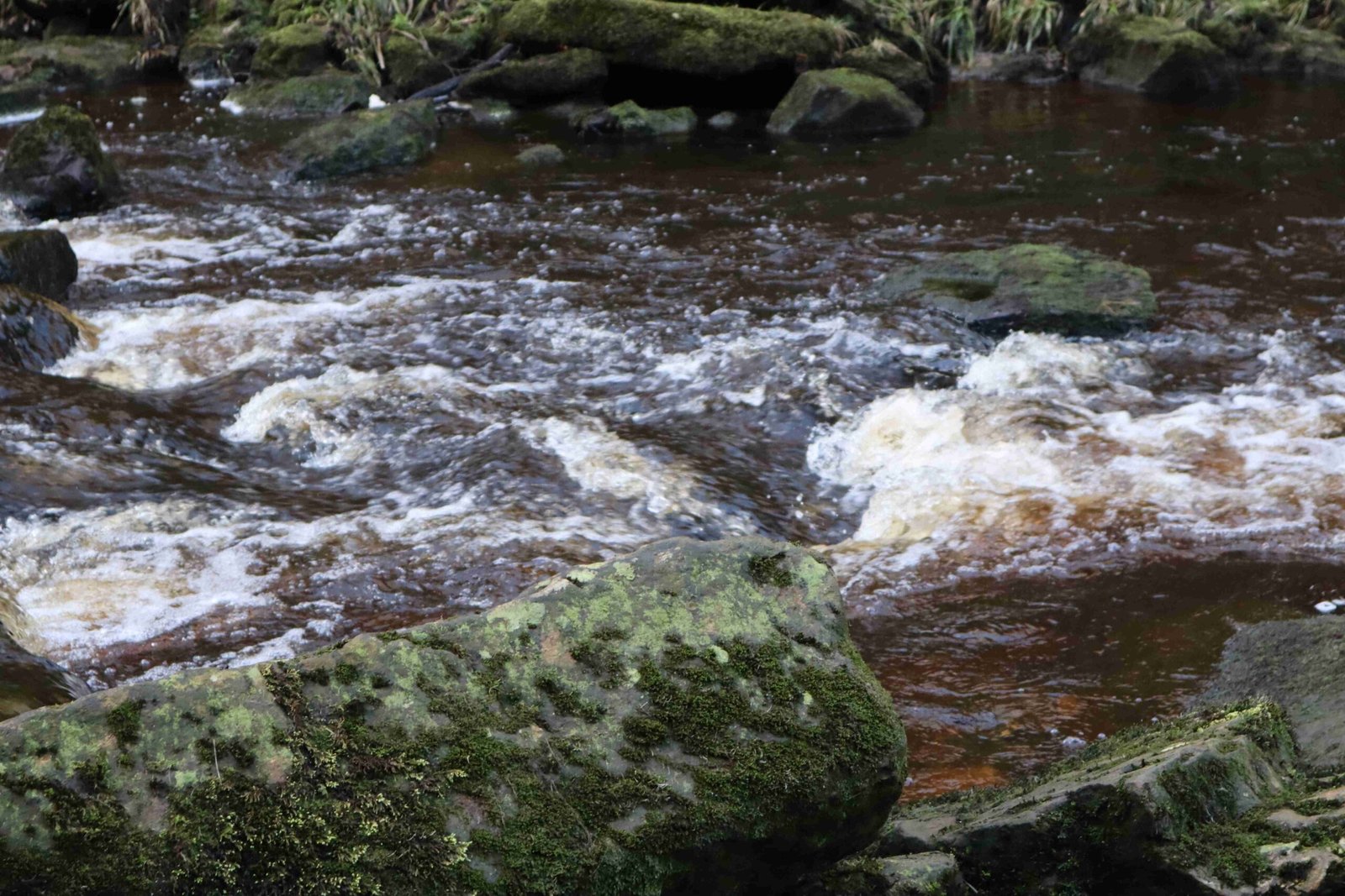 the-goathland-waterfall (14)