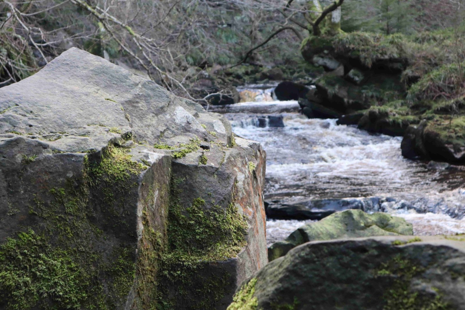 the-goathland-waterfall (18)