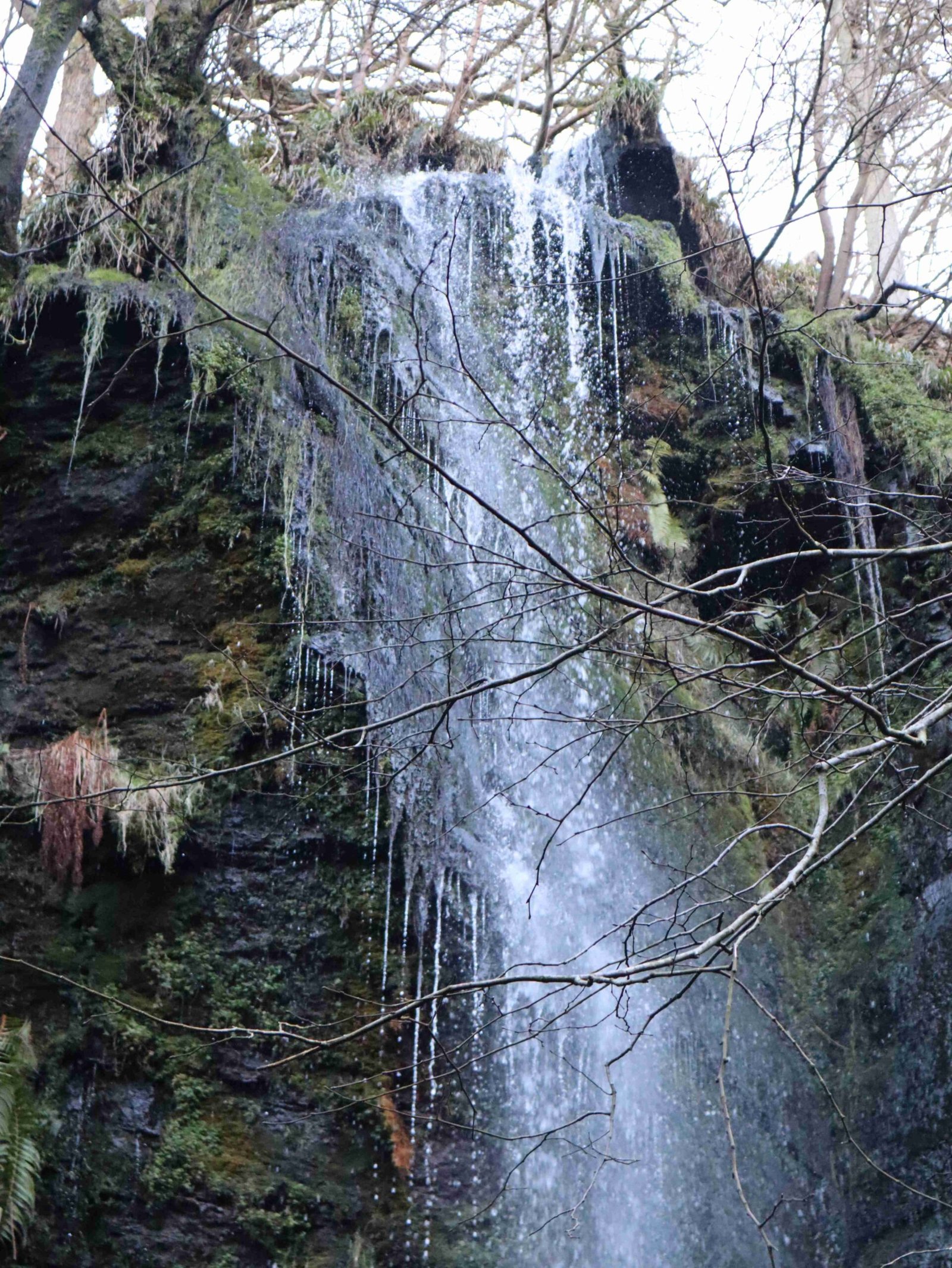the-goathland-waterfall (33)