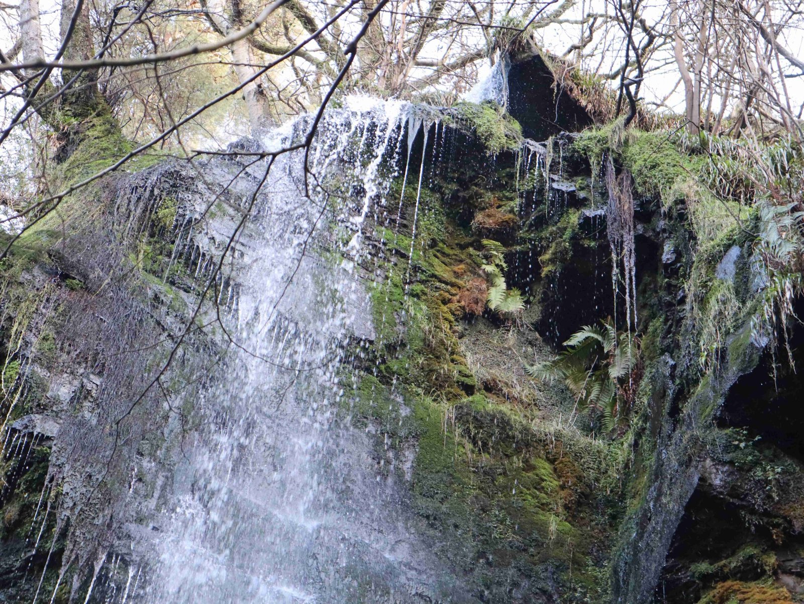 the-goathland-waterfall (47)